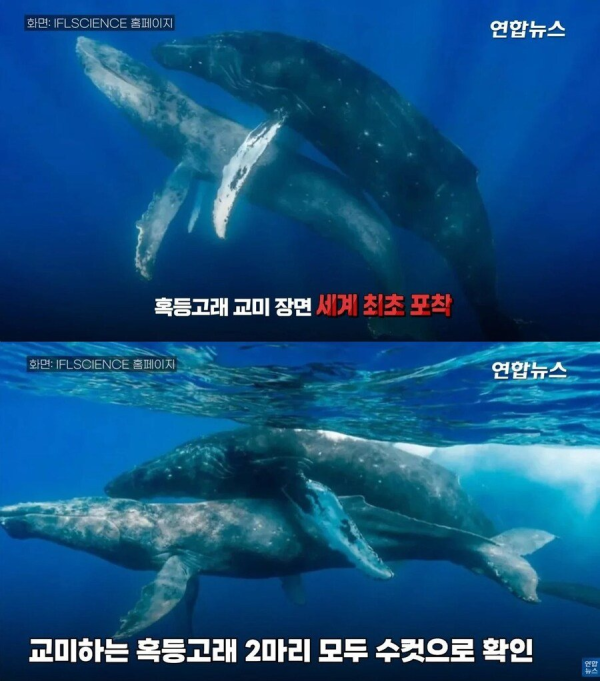 67c554a3b1480ce744b107b3bb24d8e0_1712141952_0767.png